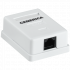 Фотография товара 'ITK CS2-1C5EU-12-G Розетка инф. настенная RJ45 кат. 5Е UTP'